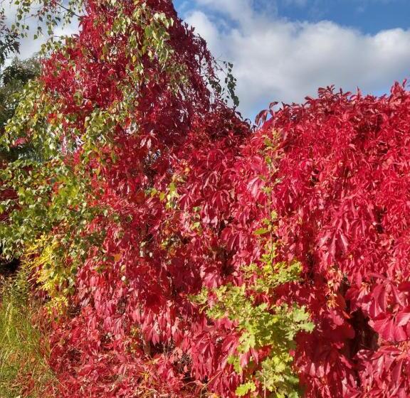 호텔 Dom Wczasowy Pięciu Pomostów I Domki Letniskowe