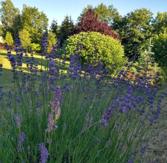 호텔 Dom Wczasowy Pięciu Pomostów I Domki Letniskowe