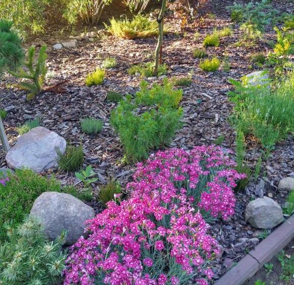 호텔 Dom Wczasowy Pięciu Pomostów I Domki Letniskowe