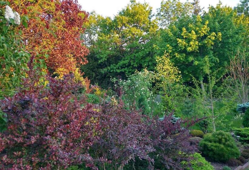 호텔 Dom Wczasowy Pięciu Pomostów I Domki Letniskowe