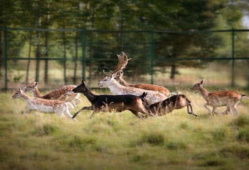 酒店 Farma Many B&b, Noclegi Suntago & Deepspot