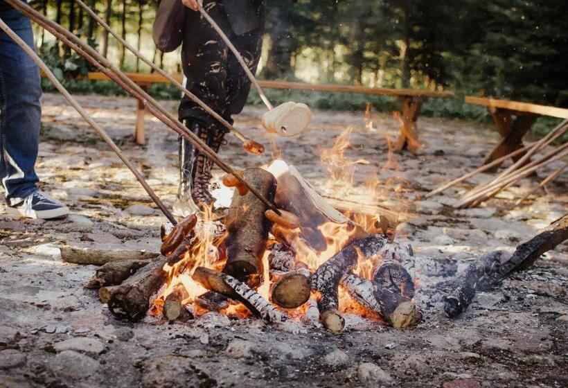 هتل Dwór Mościbrody