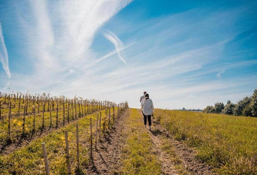 Отель Dwór Sanna