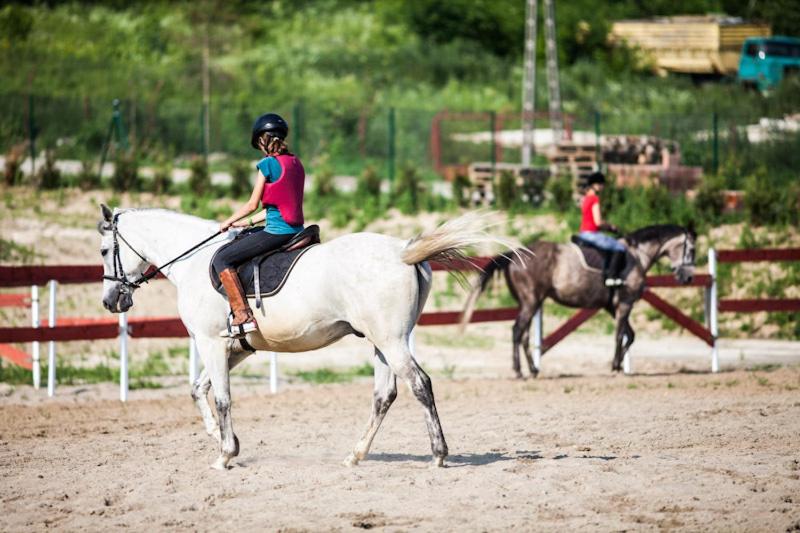 Отель Dwór Sanna