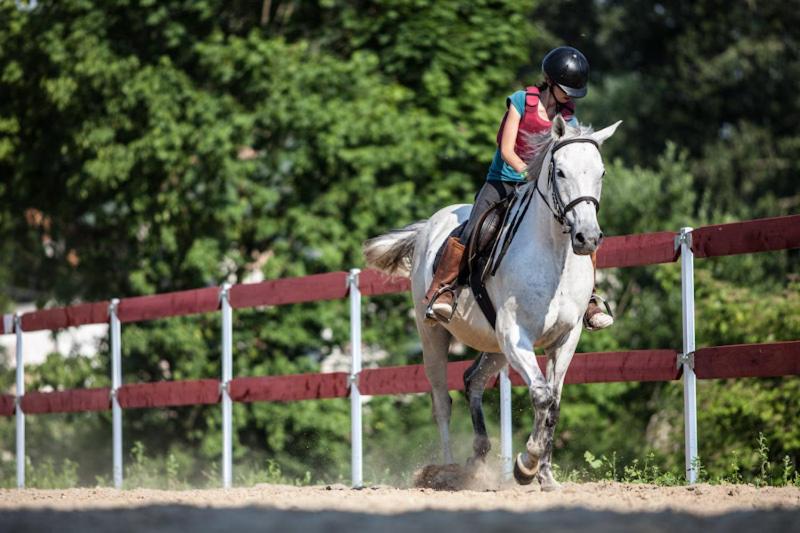 Отель Dwór Sanna