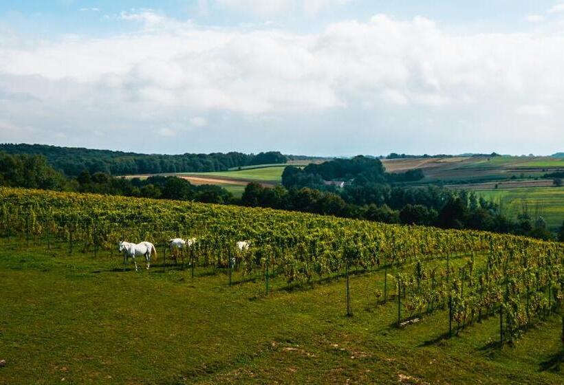 Отель Dwór Sanna