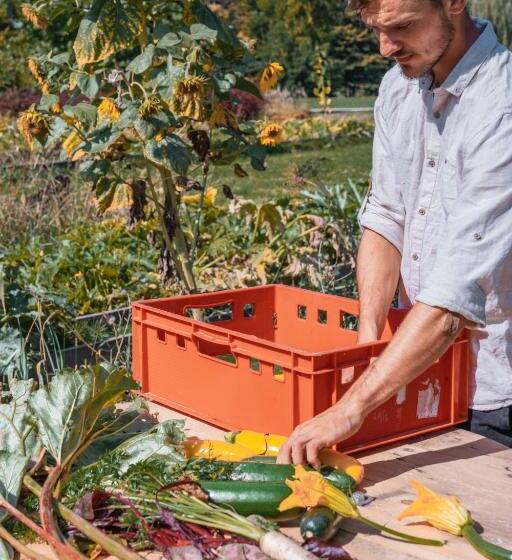 Отель Dwór Sanna