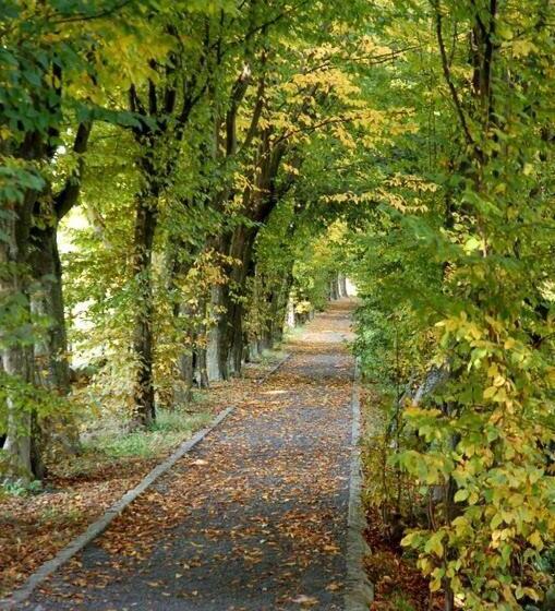 Отель Dwór Sanna