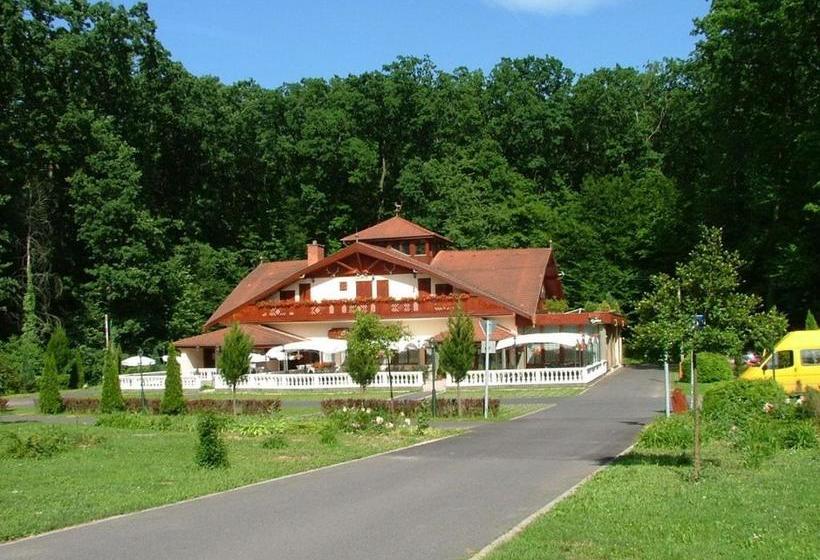 酒店 Erdogyoengye Panzio