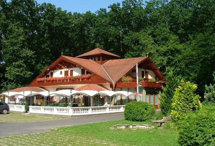 酒店 Erdogyoengye Panzio