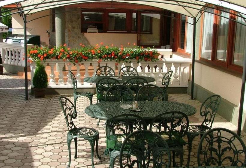 酒店 Erdogyoengye Panzio