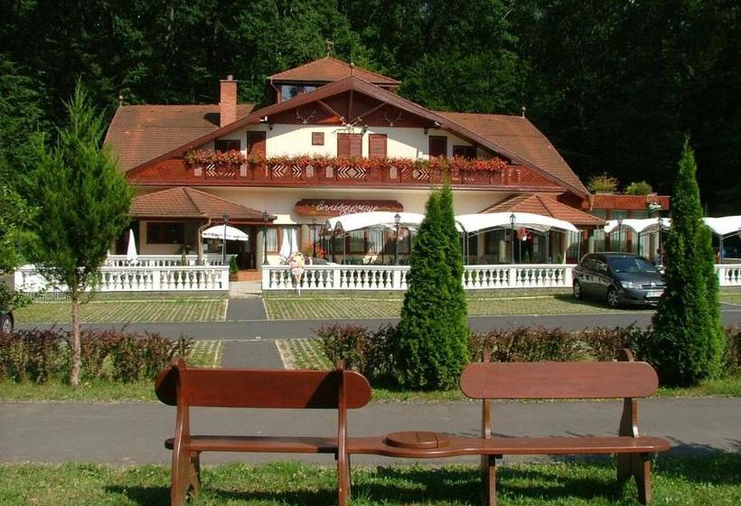 酒店 Erdogyoengye Panzio