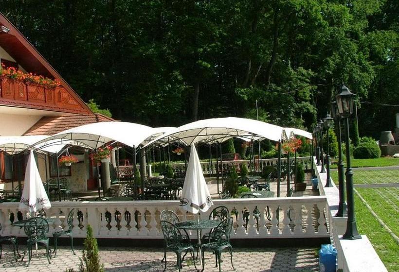 酒店 Erdogyoengye Panzio