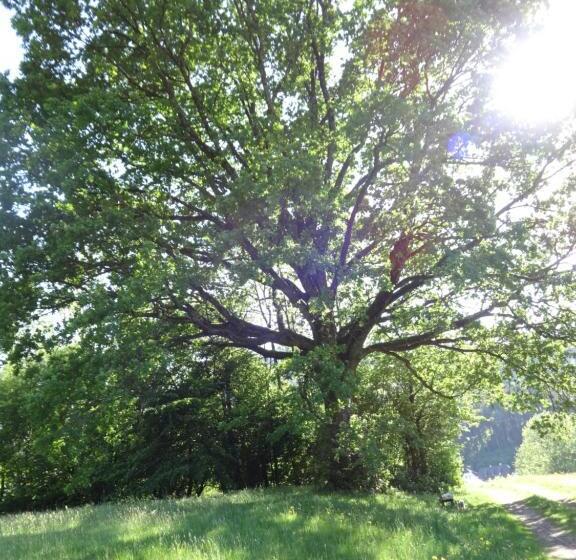 בית מלון כפרי Frühstückspension Irmer