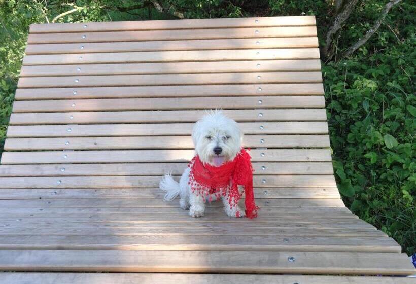 בית מלון כפרי Frühstückspension Irmer