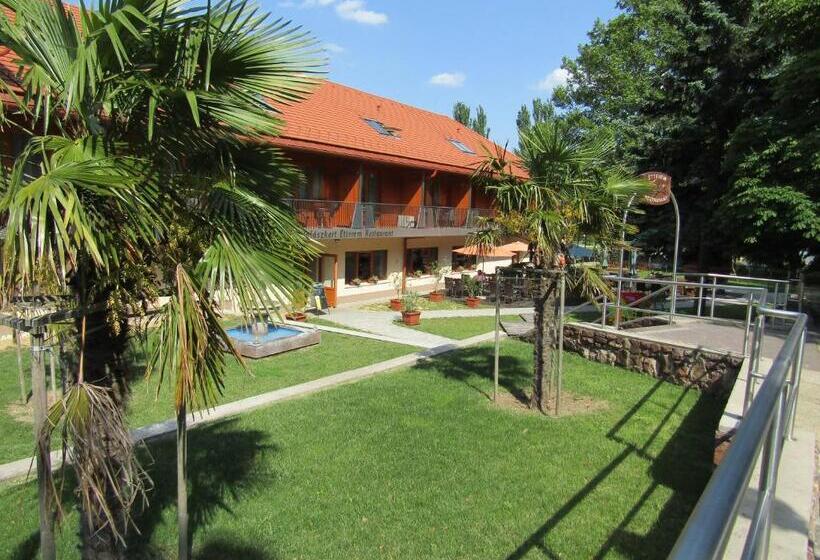 酒店 Halászkert Badacsony