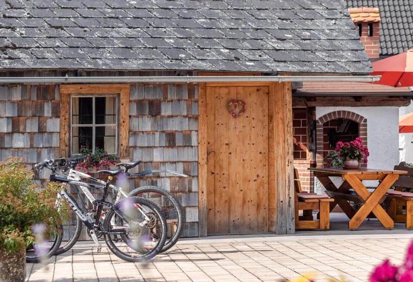 فندق Haus Regina