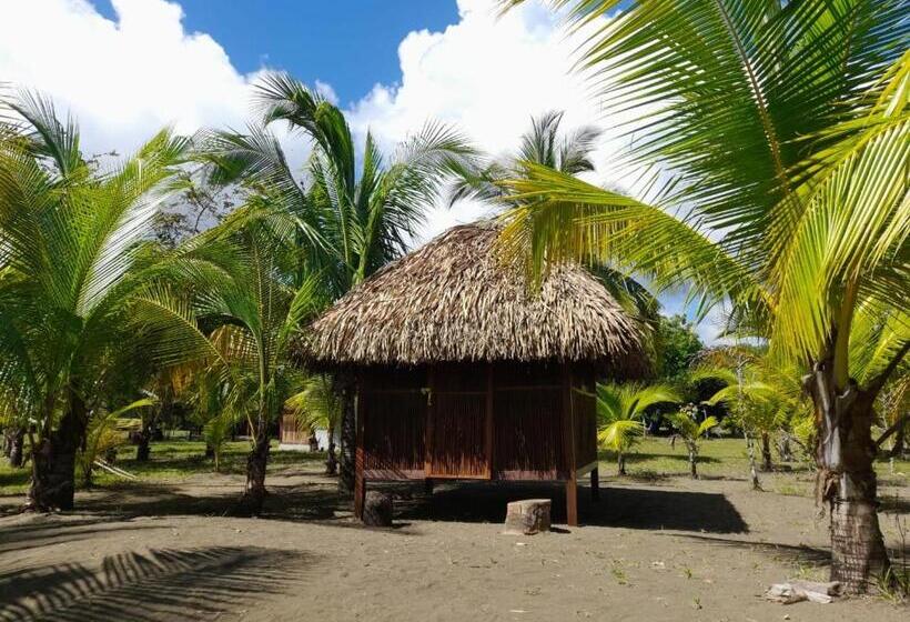 فندق Hibiscus Garden