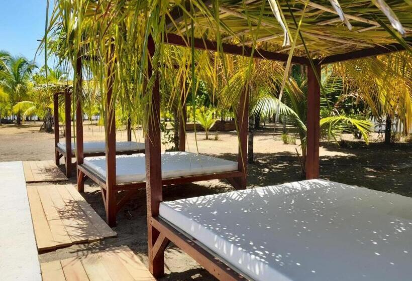 فندق Hibiscus Garden