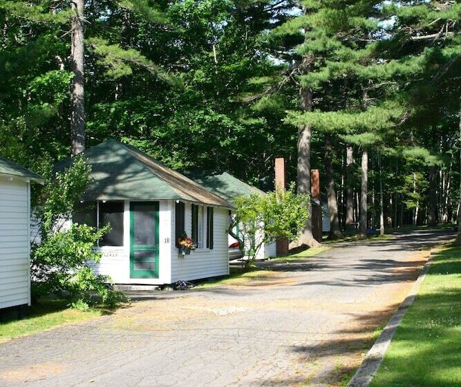 Отель Hinckley's Dreamwood Cottages