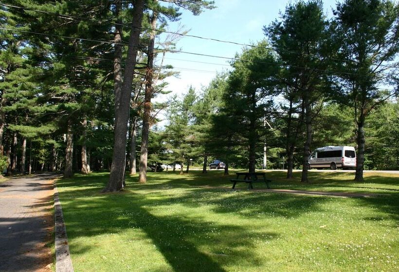 Отель Hinckley's Dreamwood Cottages