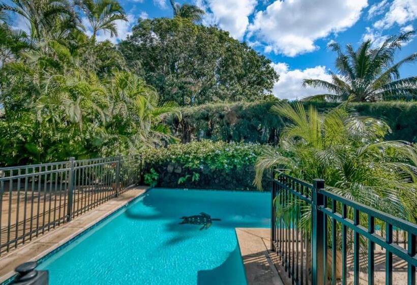 בית מלון כפרי Kihei Kai 12