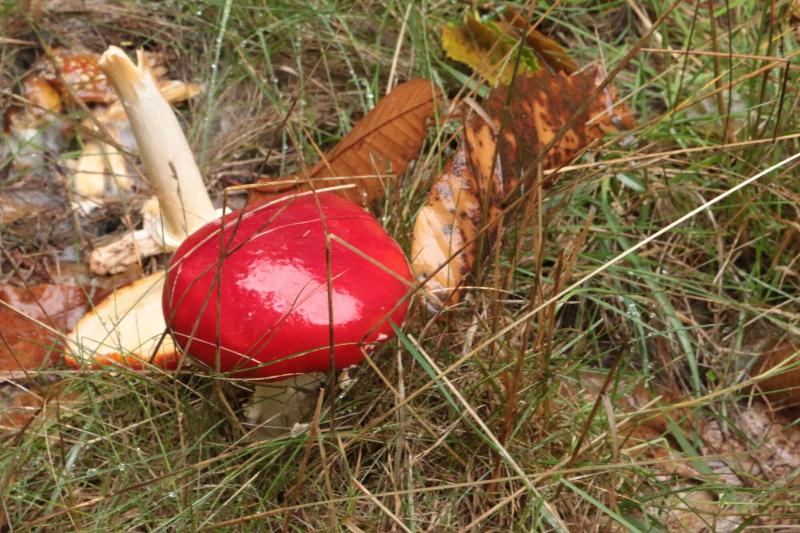 酒店 La Coral De Sanabria