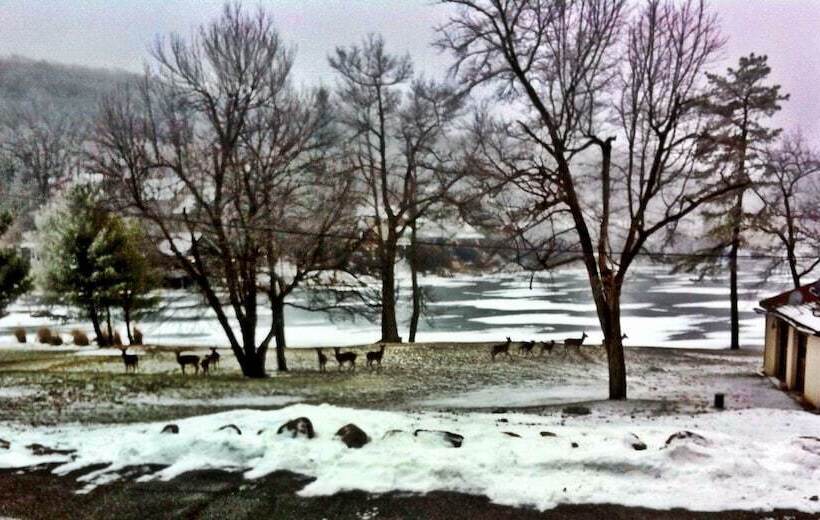 בית מלון כפרי Lake Harmony Inn