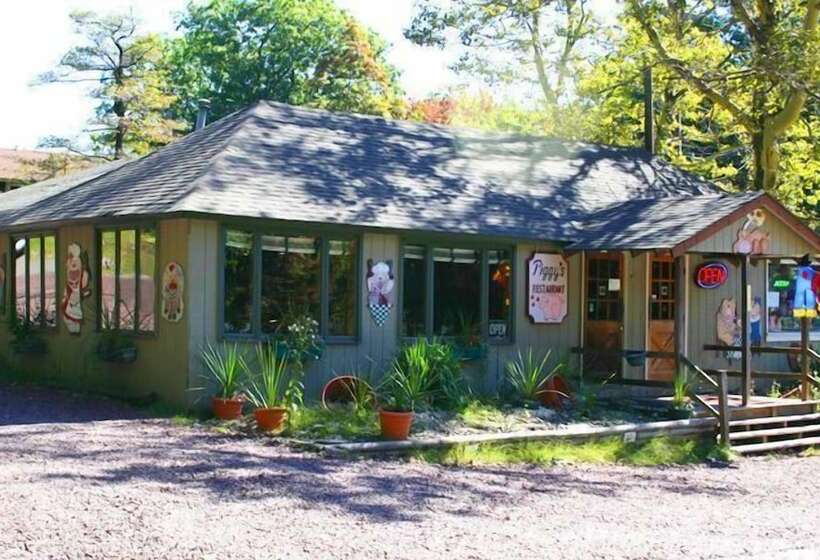 בית מלון כפרי Lake Harmony Inn