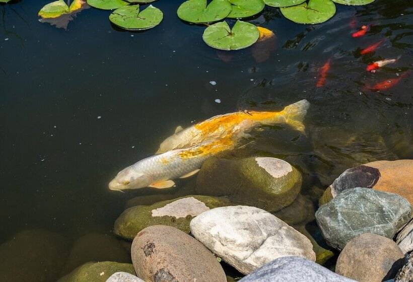 ホテル Lazy Cloud