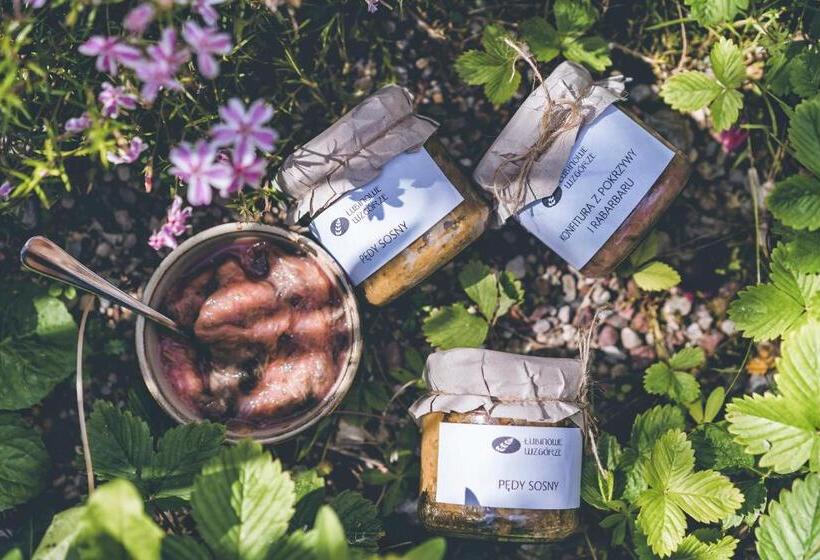 호텔 Lubinowe Wzgórze