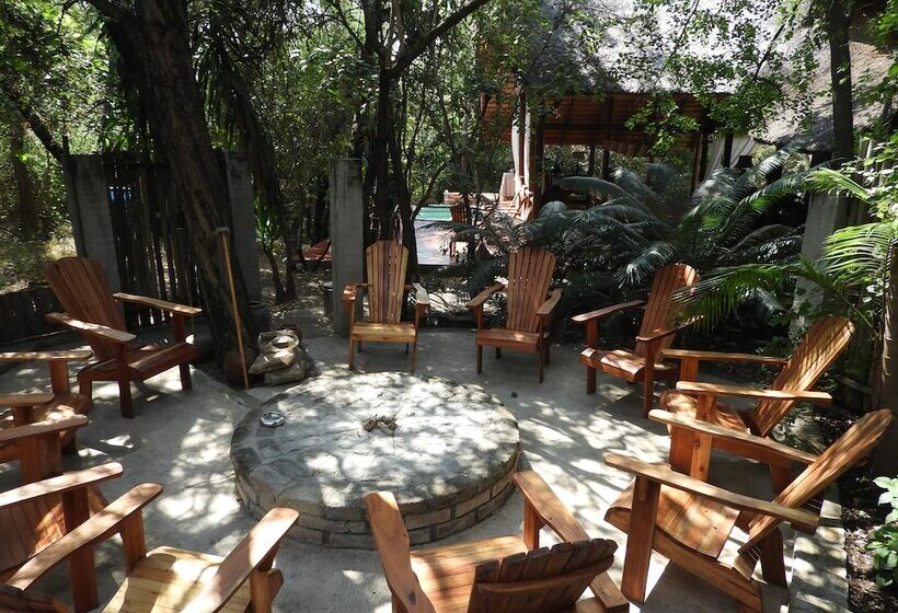 酒店 Maqueda Lodge