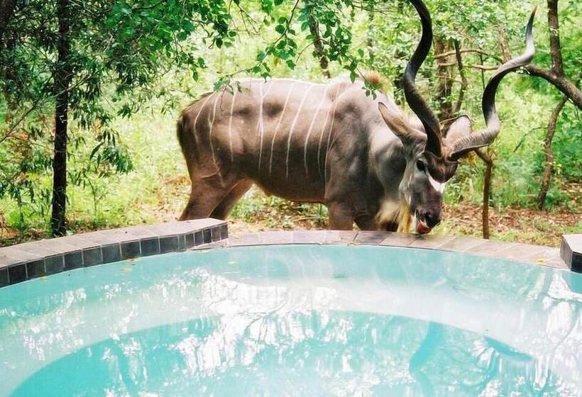 酒店 Maqueda Lodge