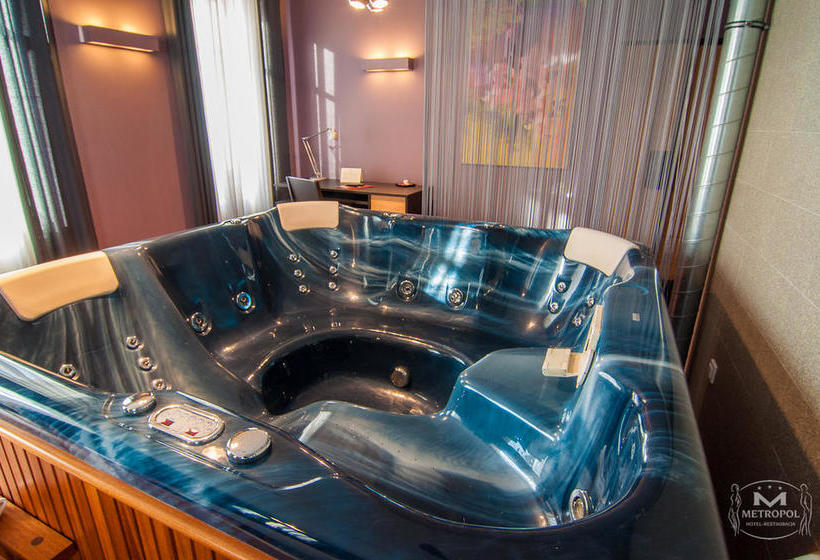 בית מלון כפרי Metropol