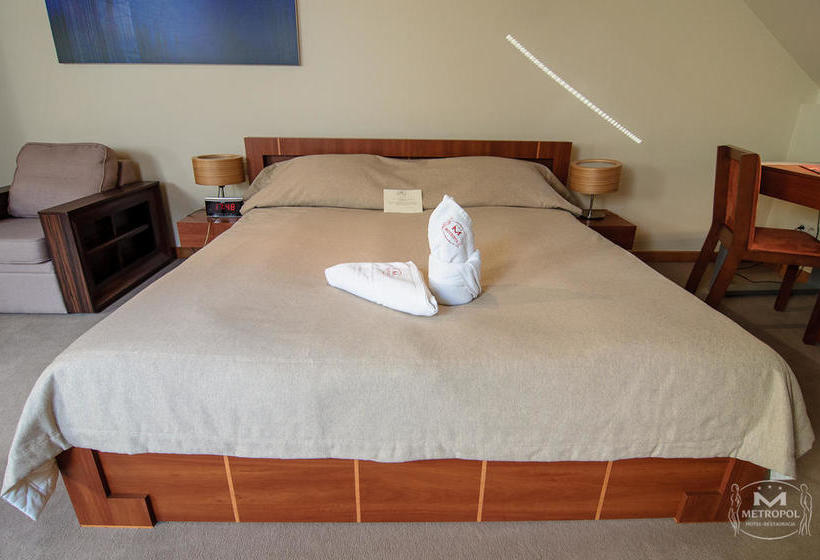 בית מלון כפרי Metropol