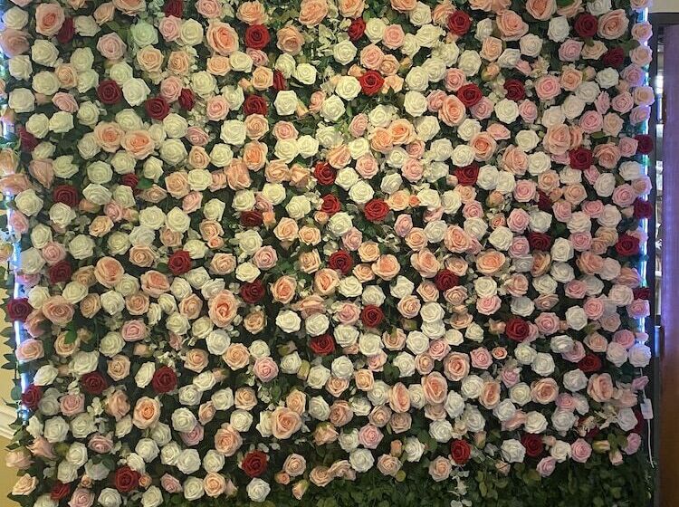 Отель Mill Creek