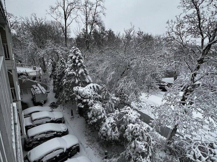 Отель Mill Creek