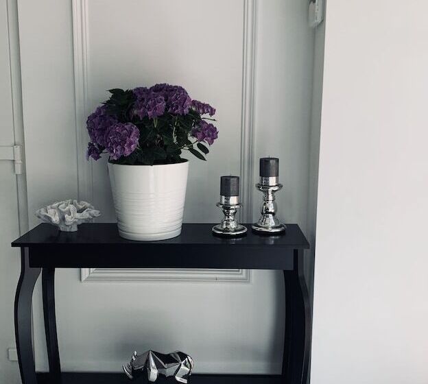 酒店 Monte Carlo Boutique