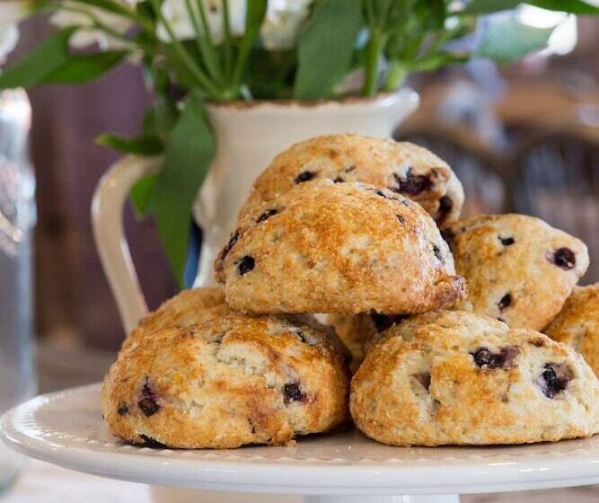 هتل Mountain Meadows Lodge