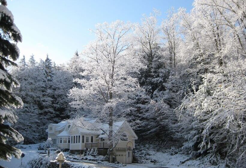 酒店 Mountain Valley Retreat