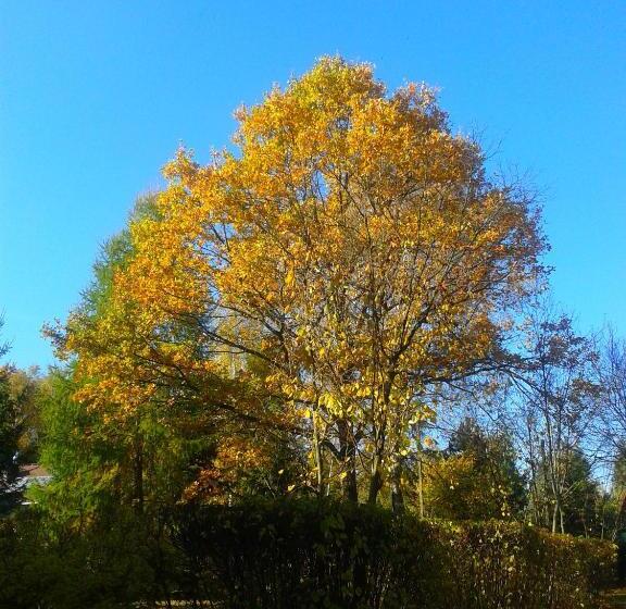 בית מלון כפרי Nad Mrogą