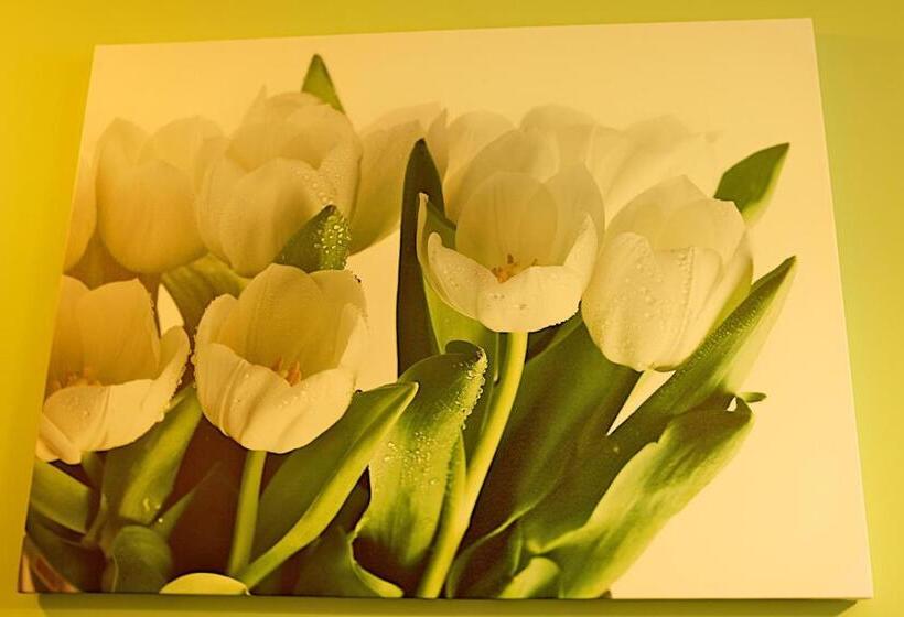 בית מלון כפרי Neo Międzyrzecz