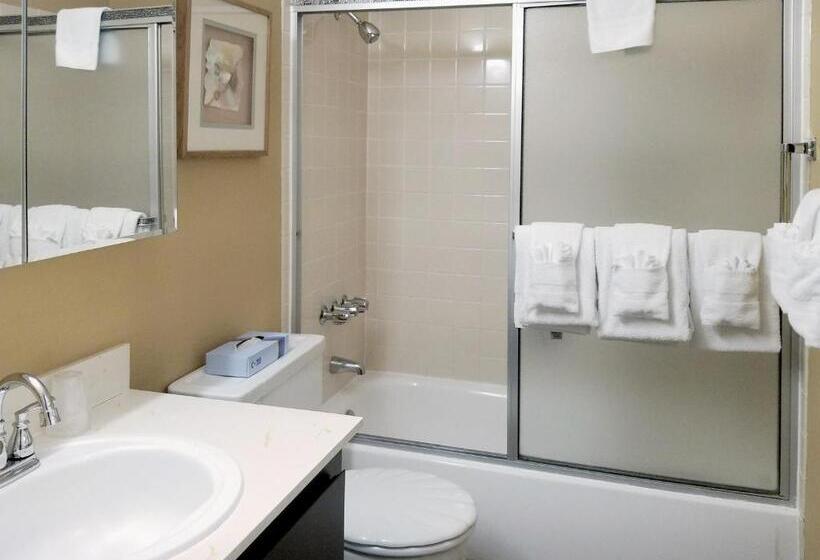 هتل Ocean Terrace Condominiums