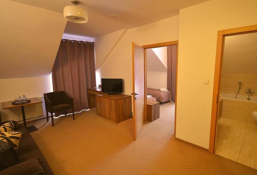 酒店 Skalny Spa Bieszczady