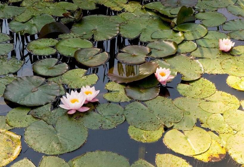 בית מלון כפרי Pałac Czarny Las