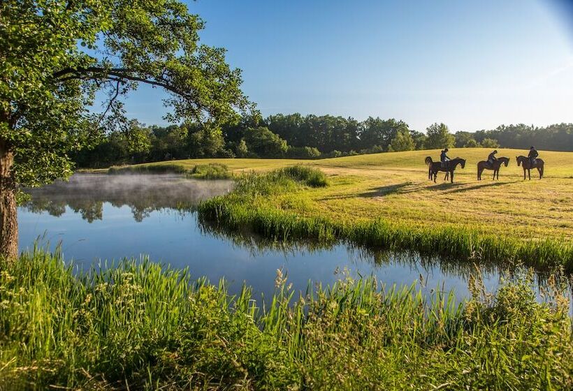 فندق Pałac Galiny