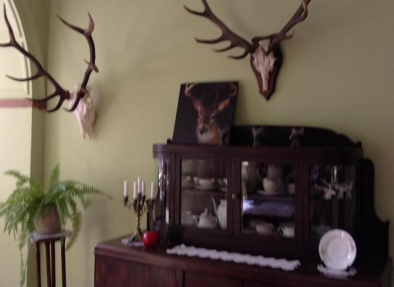 ホテル Pałac Myśliwski Orle Solutions