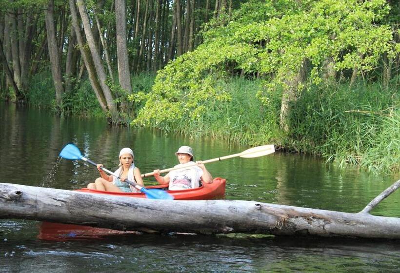 ホテル Pałac Myśliwski Orle Solutions