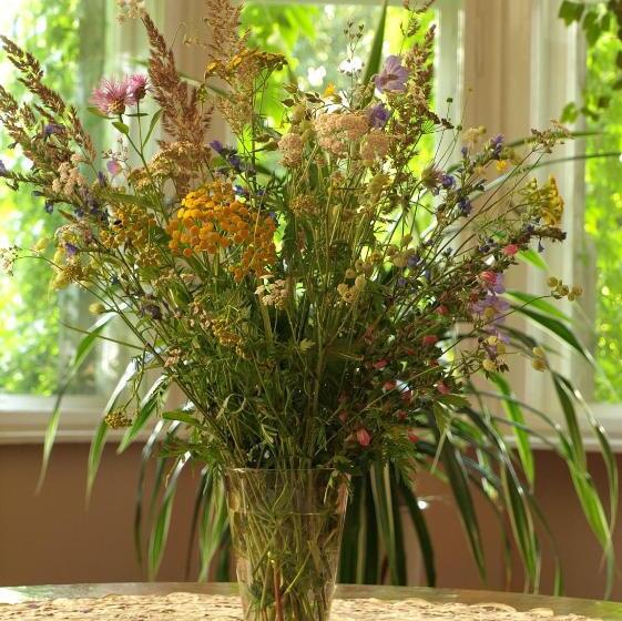 ホテル Pałac Myśliwski Orle Solutions