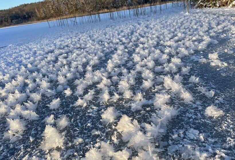 ホテル Pałac Myśliwski Orle Solutions